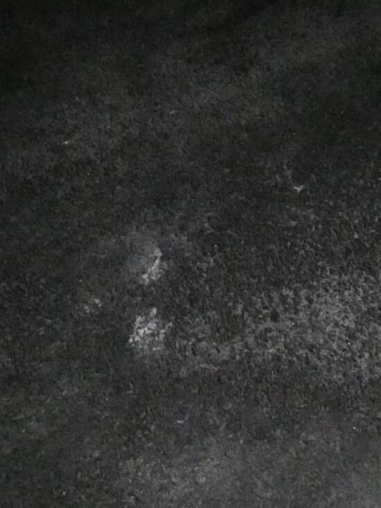 Saint Laurent Baby Duffle Boston Bag - Picture 10 of 10